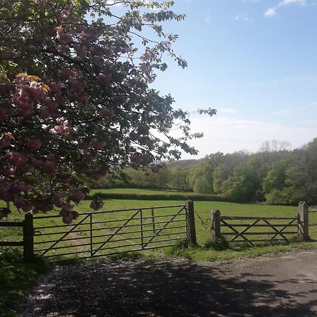 Moaps Farm B&B Support Small Business, Welcome, Check In From 5 Pm Danehill Luaran gambar