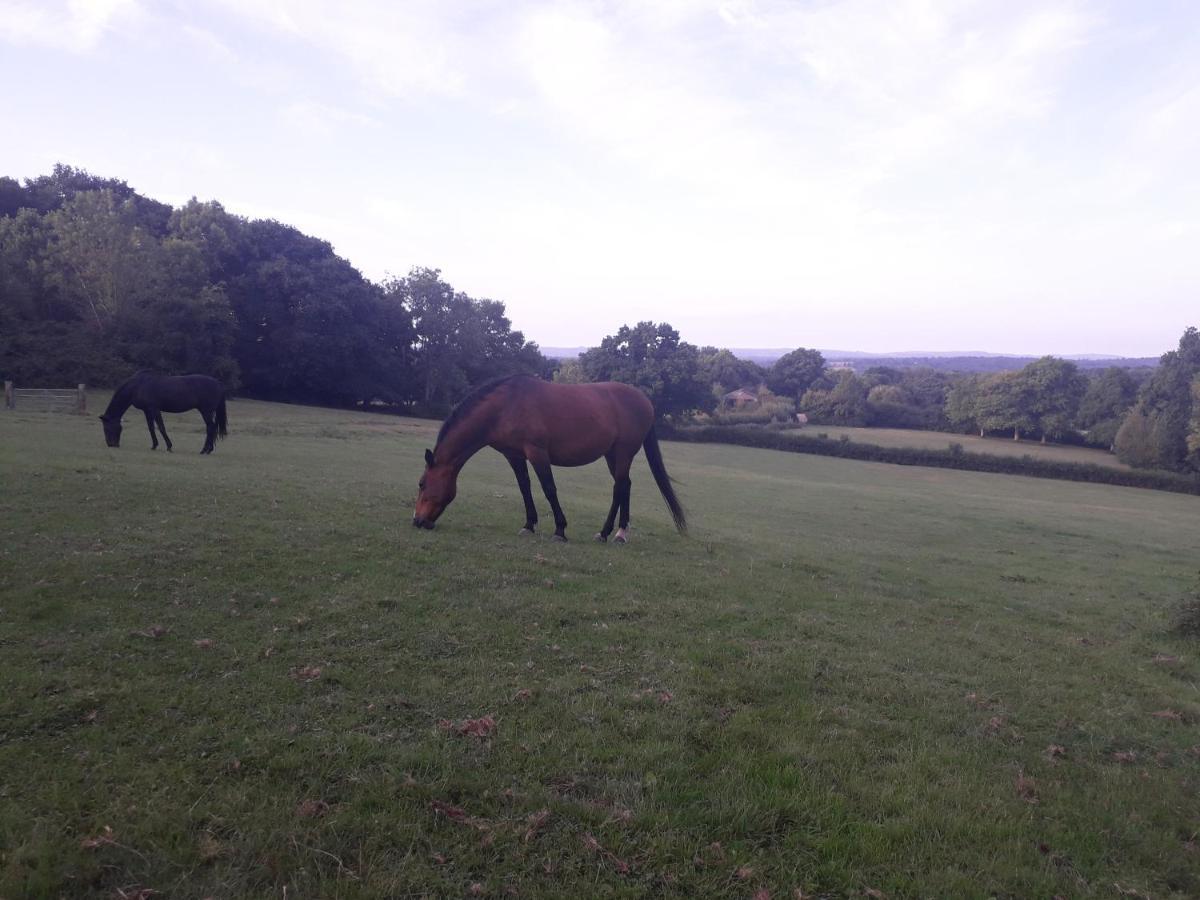 Moaps Farm B&B Support Small Business, Welcome, Check In From 5 Pm Danehill Luaran gambar