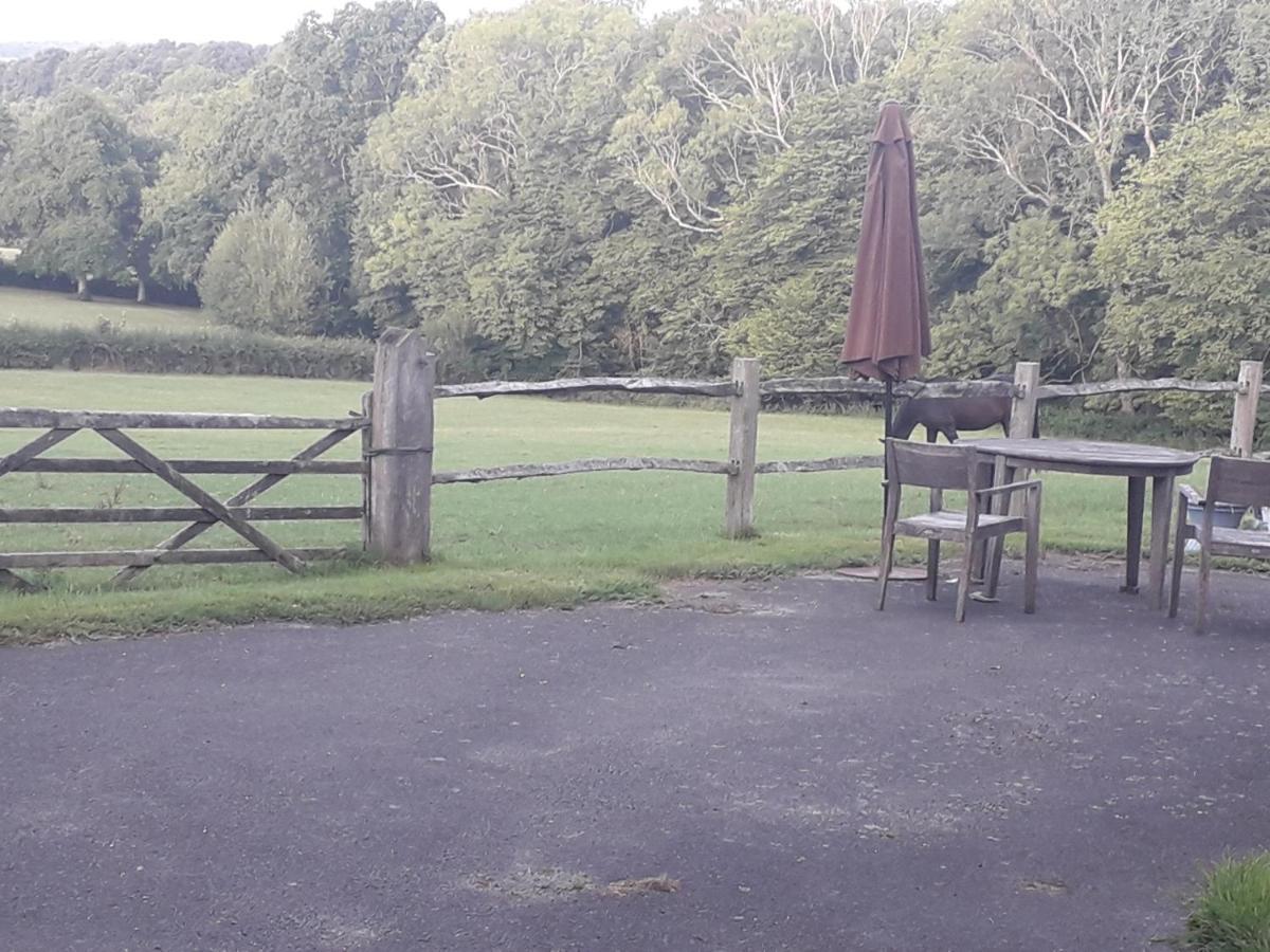 Moaps Farm B&B Support Small Business, Welcome, Check In From 5 Pm Danehill Luaran gambar