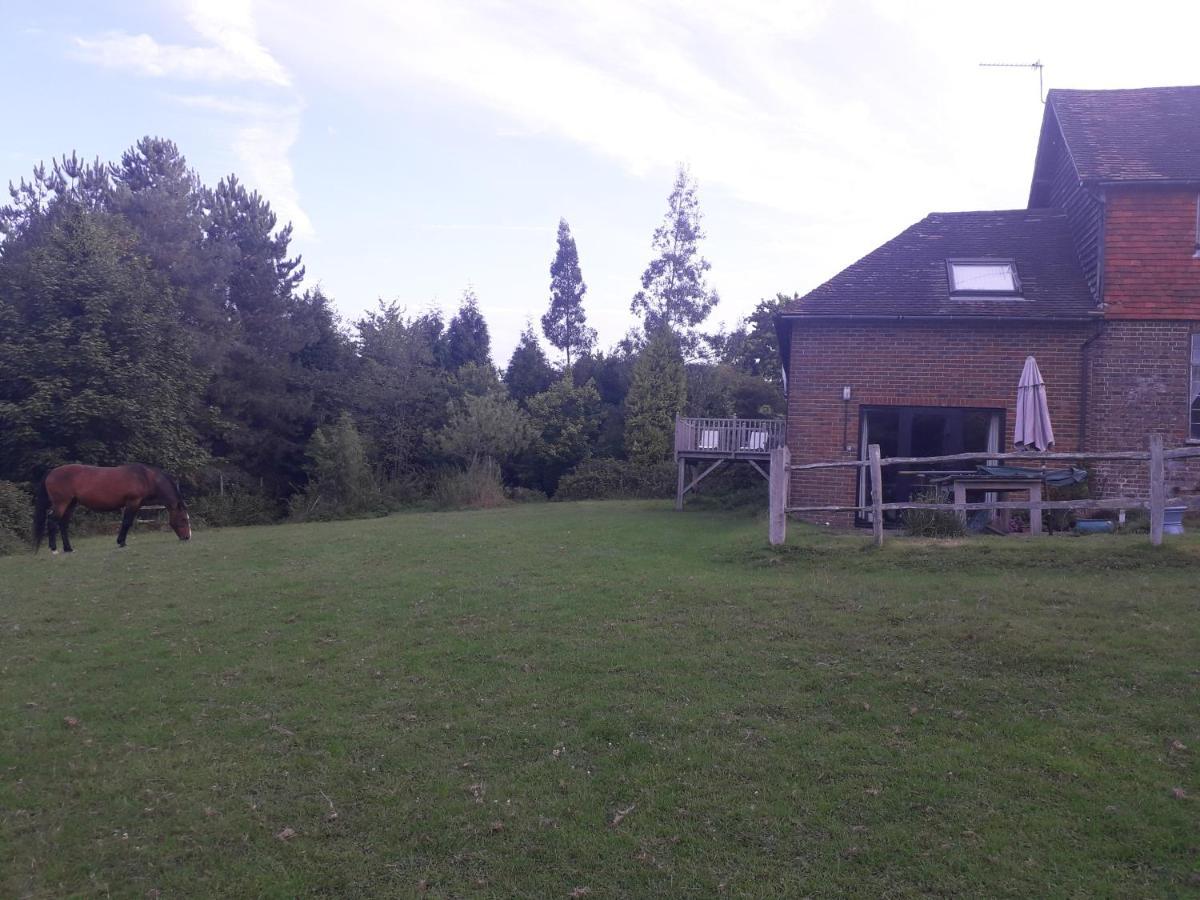Moaps Farm B&B Support Small Business, Welcome, Check In From 5 Pm Danehill Luaran gambar