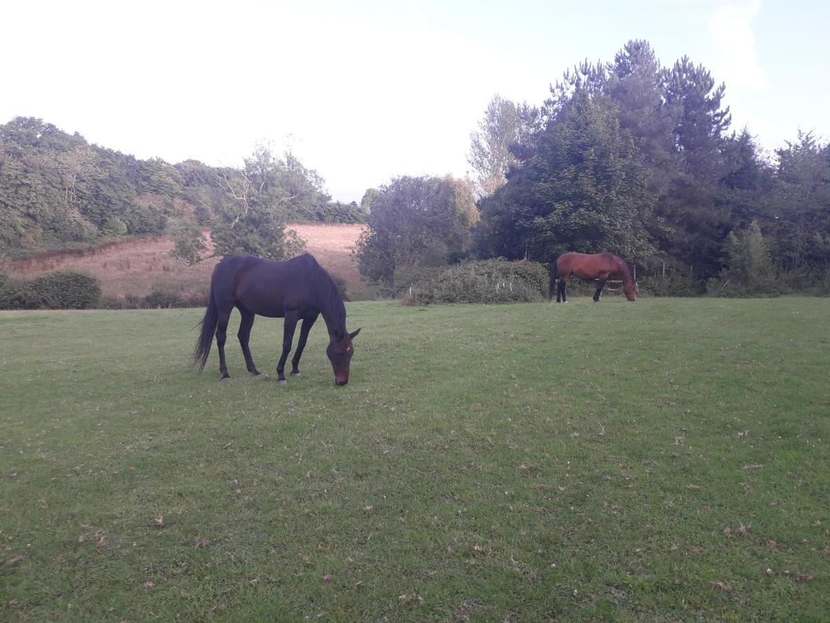 Moaps Farm B&B Support Small Business, Welcome, Check In From 5 Pm Danehill Luaran gambar