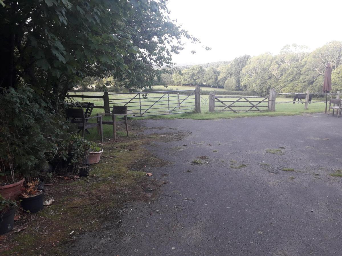 Moaps Farm B&B Support Small Business, Welcome, Check In From 5 Pm Danehill Luaran gambar