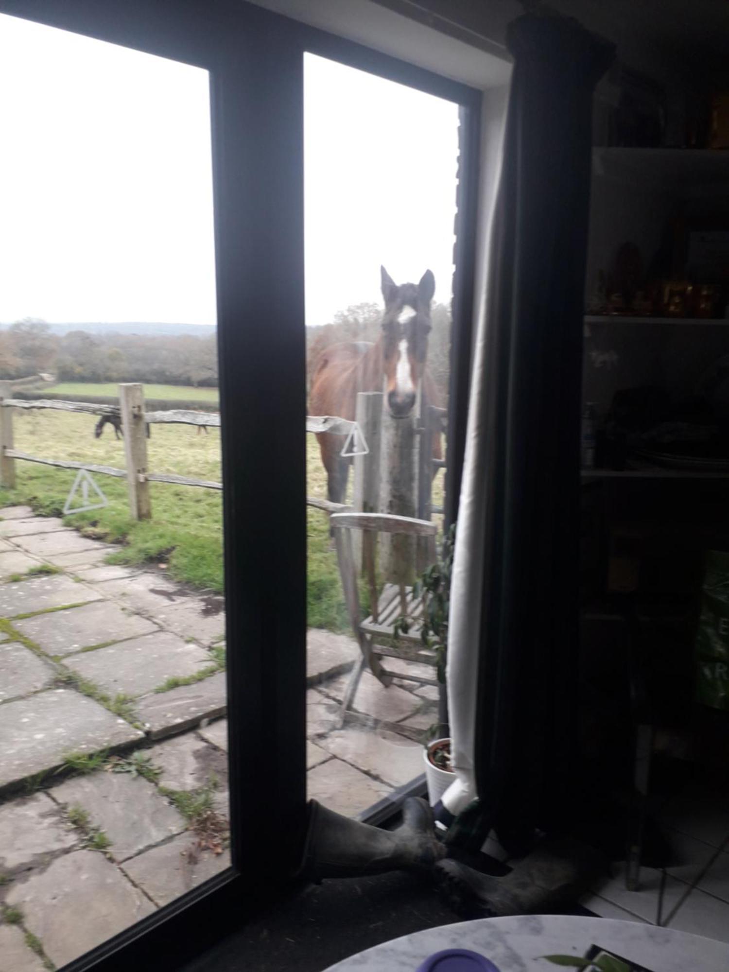 Moaps Farm B&B Support Small Business, Welcome, Check In From 5 Pm Danehill Luaran gambar